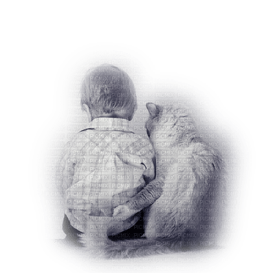 Kaz_Creations Animals Animal Cats Cat Kitten Child - PNG gratuit