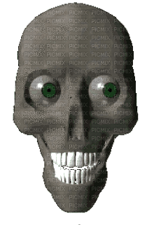 yapping skull - Безплатен анимиран GIF
