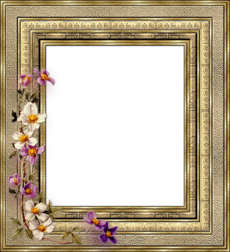 gold frame with flowers - zdarma png
