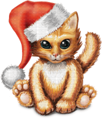 Kaz_Creations Christmas Cat - kostenlos png