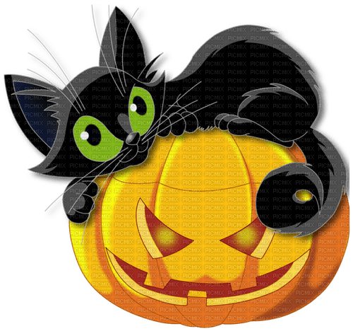 halloween cat with pumpkin by nataliplus - zadarmo png