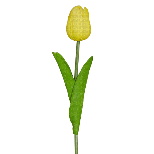 желтый тюльпан - png gratis