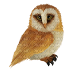 animaux - Free PNG