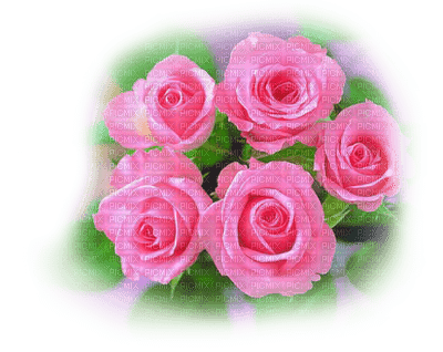 patymirabelle fleurs rose - png grátis
