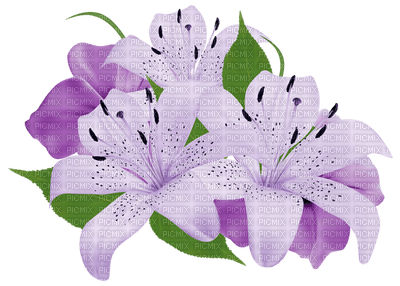 Kaz_Creations Flowers Flower - kostenlos png