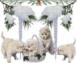 Puppies in snow - Nemokamas animacinis gif
