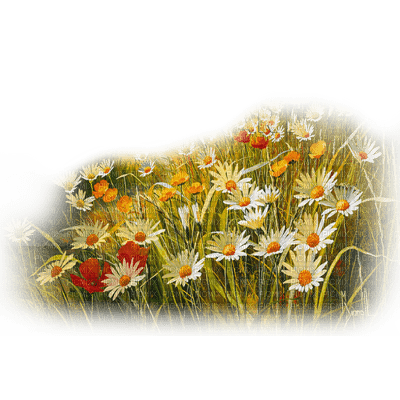 flores transparentes dubravka4 - 免费PNG