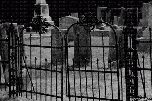 maj gif cimetière - Gratis animerad GIF