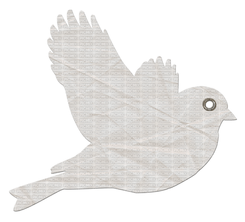 Oiseau Blanc :) - 無料png