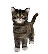 cats bp - Gratis animeret GIF