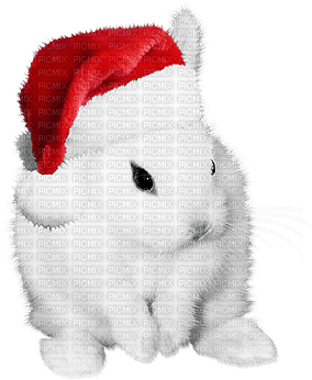 soave christmas winter bunny animals deco - besplatni png