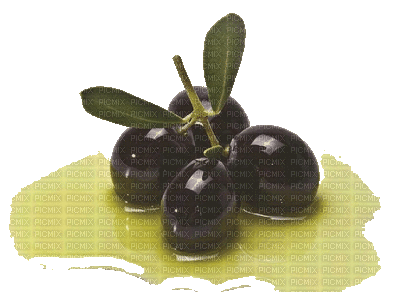 olives bp - GIF animado gratis