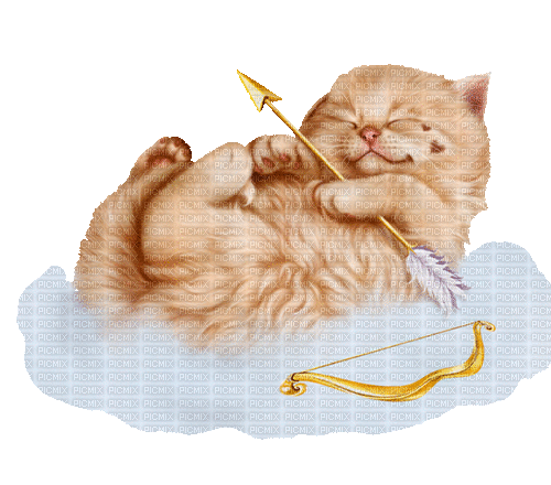 valentine cat by nataliplus - GIF animasi gratis