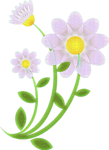 spring transparent flowers spring - 免费PNG