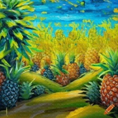 Pineapples Landscape - png grátis