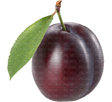 plum - Free PNG