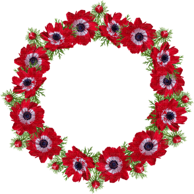 flower fleur blossom blumen deco tube spring printemps fleurs red rouge frame cadre rahmen round circle - PNG gratuit