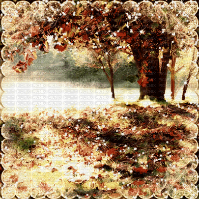 background animated hintergrund autumn milla1959 - Ingyenes animált GIF