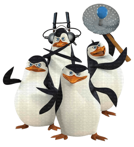 Pinguin 🐧 - zdarma png