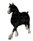 cheval HD - GIF animate gratis