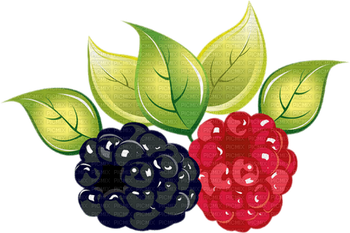 berries Bb2 - darmowe png
