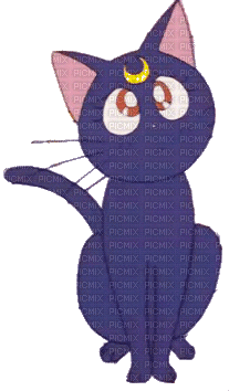 luna cat sailor moon - Free animated GIF