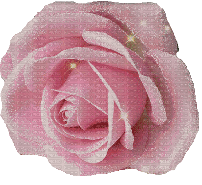 pink milla1959 - Бесплатный анимированный гифка