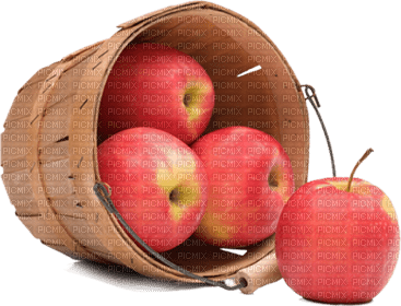 Kaz_Creations Fruit Apples Apple - PNG gratuit