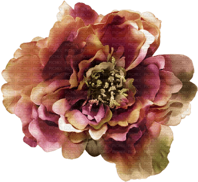 fleur marron.Cheyenne63 - Free PNG