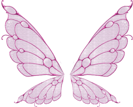 fairy wings elf fee fantasy - ücretsiz png
