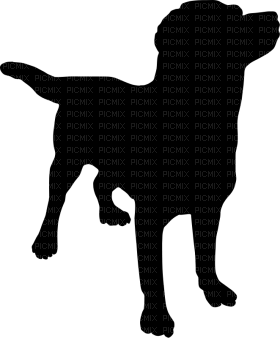 Kaz_Creations Dog Pup Silhouettes Silhouette - png grátis