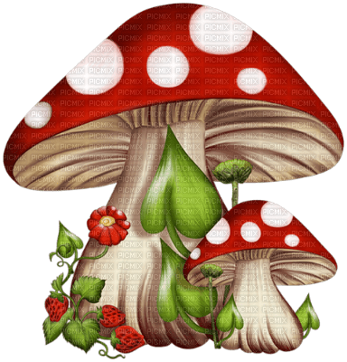champignons - ücretsiz png