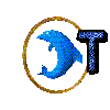 Lettre T Blue Dolphin - GIF animasi gratis