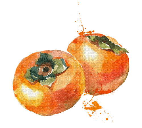 persimmon Bb2 - png grátis