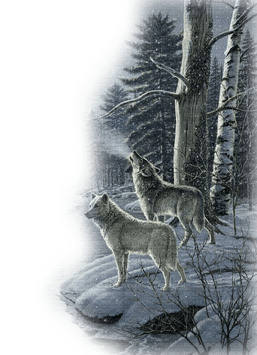 dolceluna wolf wolves png winter - Free PNG