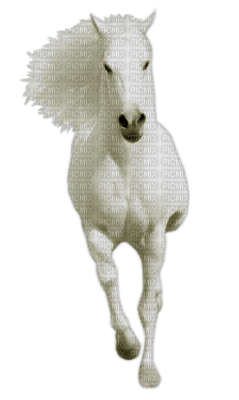 Cheval ! - Free PNG