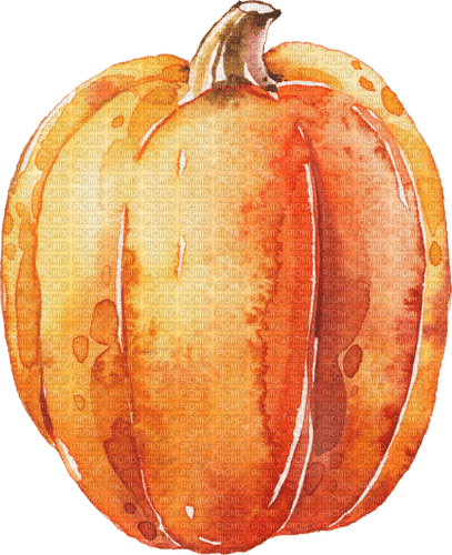 pumpkin Bb2 - png grátis