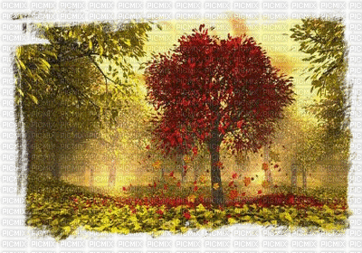 árvore - GIF animasi gratis