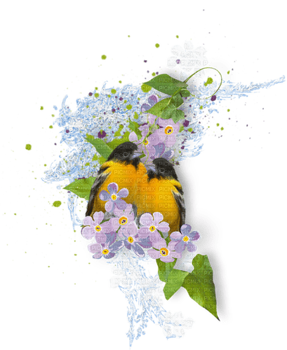 dolceluna spring birds bird flowers - PNG gratuit