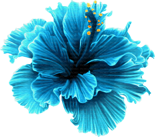 blue flower  Bb2 - zadarmo png