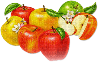 soave deco fruit apple red green yellow - Free PNG