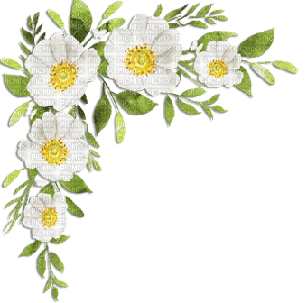 soave deco flowers corner branch spring green - 無料png