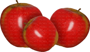 red apples Bb2 - zdarma png