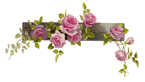 Pink deco roses - zadarmo png