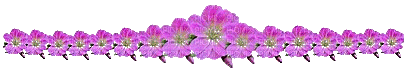 pink  flowers tube deco - 無料のアニメーション GIF