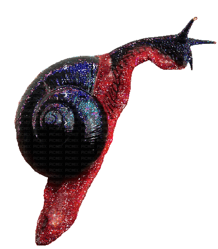 fire snail <3 - Gratis geanimeerde GIF