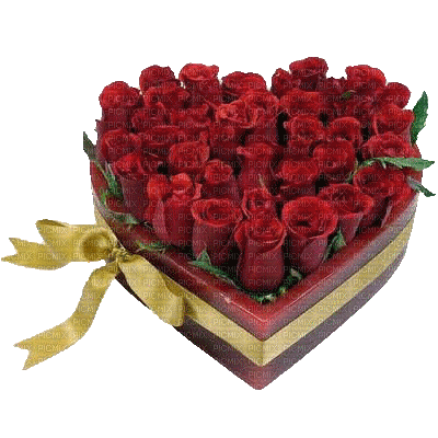 srce od ruža - GIF animé gratuit