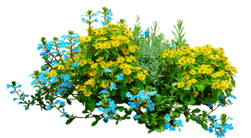 Flowers.Yellow.Blue - png grátis