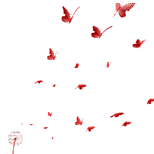 Бабочка - Darmowy animowany GIF