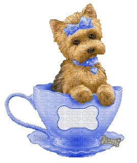 puppy in cup bp - Ingyenes animált GIF
